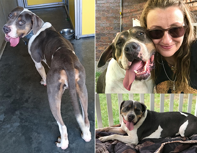 RSPCA puppy farm seizure happy story